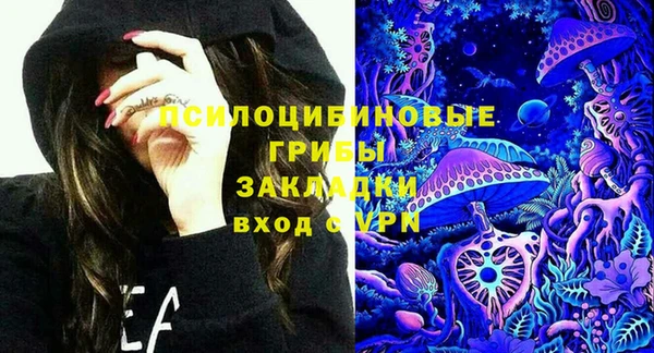 МДПВ Армянск