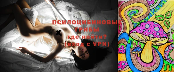 не бодяженный Аркадак