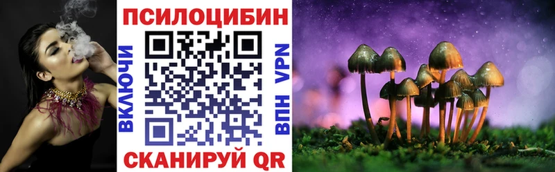 Галлюциногенные грибы Psilocybe  Похвистнево 