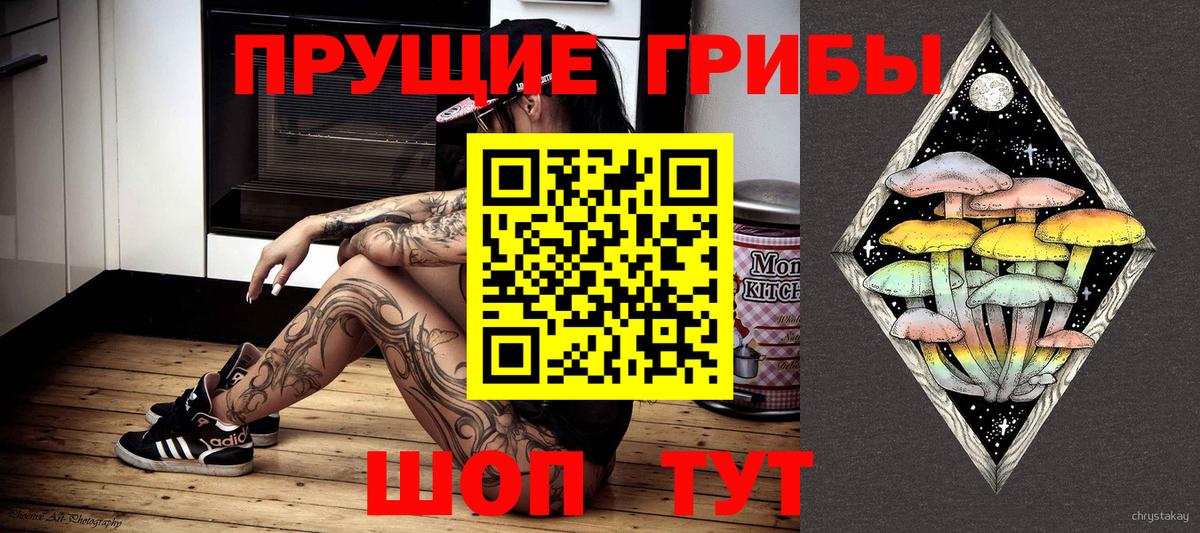 купить наркотик  Псилоцибиновые грибы мухоморы  Вход с VPN  Похвистнево 